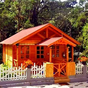 Rainforest Homestay